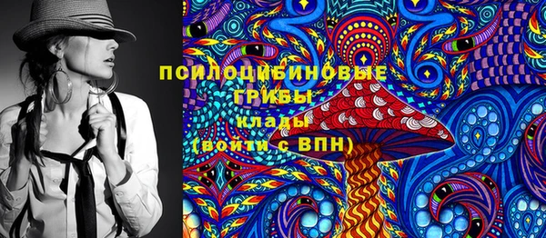 гидропоника Бугульма