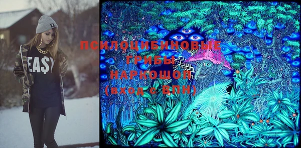 гидропоника Бугульма
