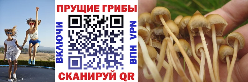 Псилоцибиновые грибы мухоморы  Рязань 